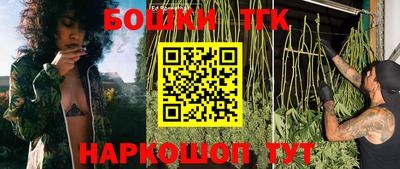 тгк Дубна