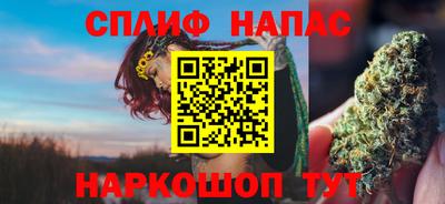 тгк Дубна