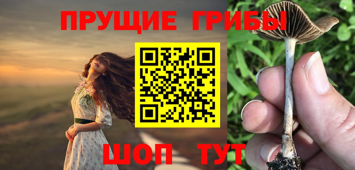 Псилоцибиновые грибы прущие грибы  Вход с VPN  Люберцы 